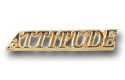Attitude Pin